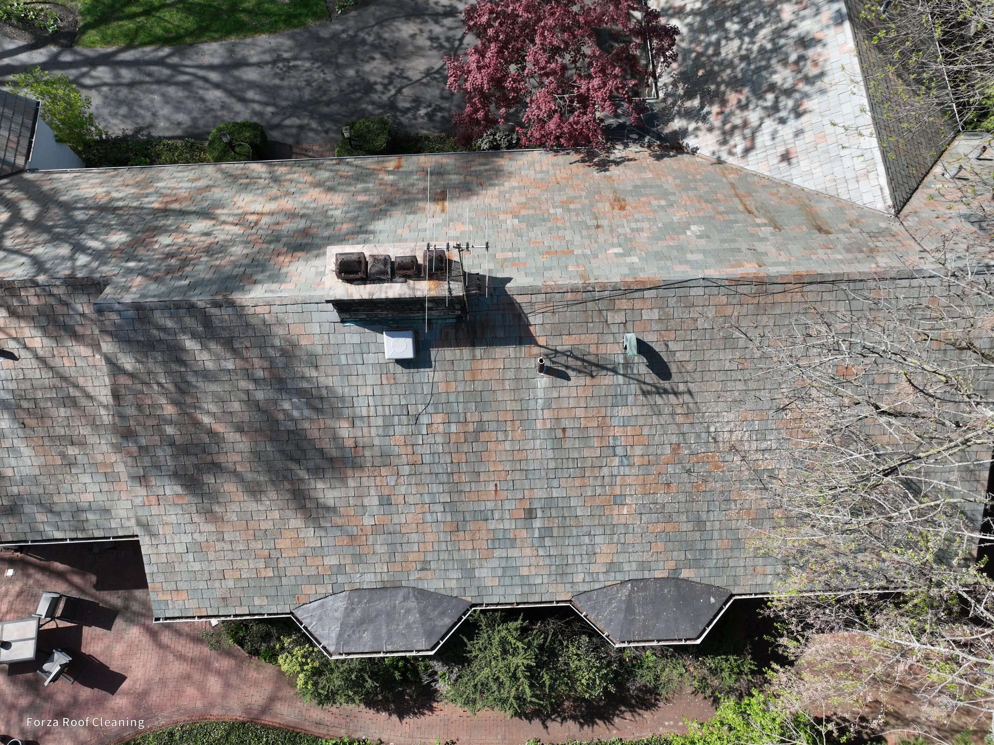 Side view of slate roof in Bexley after Forza gentle cleaning showing restored slate