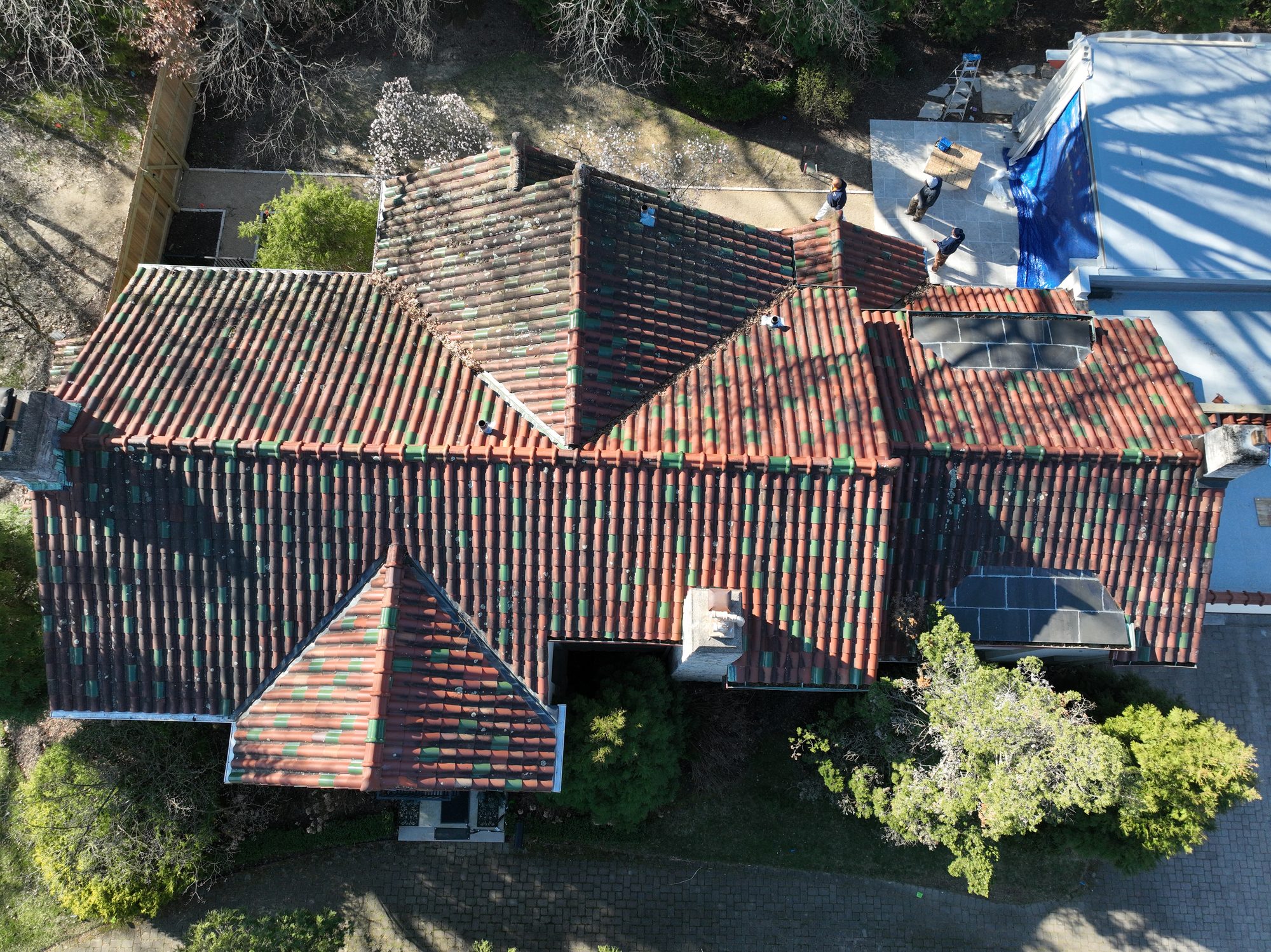 Tile roof in Bexley before cleaning showing dark organic growth