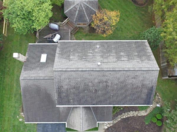 Shingle roof with heavy black streak algae before Forza cleaning