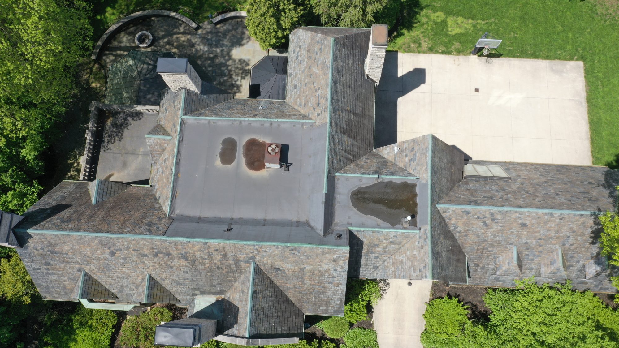 Close view of Bexley slate roof with algae before Forza cleaning