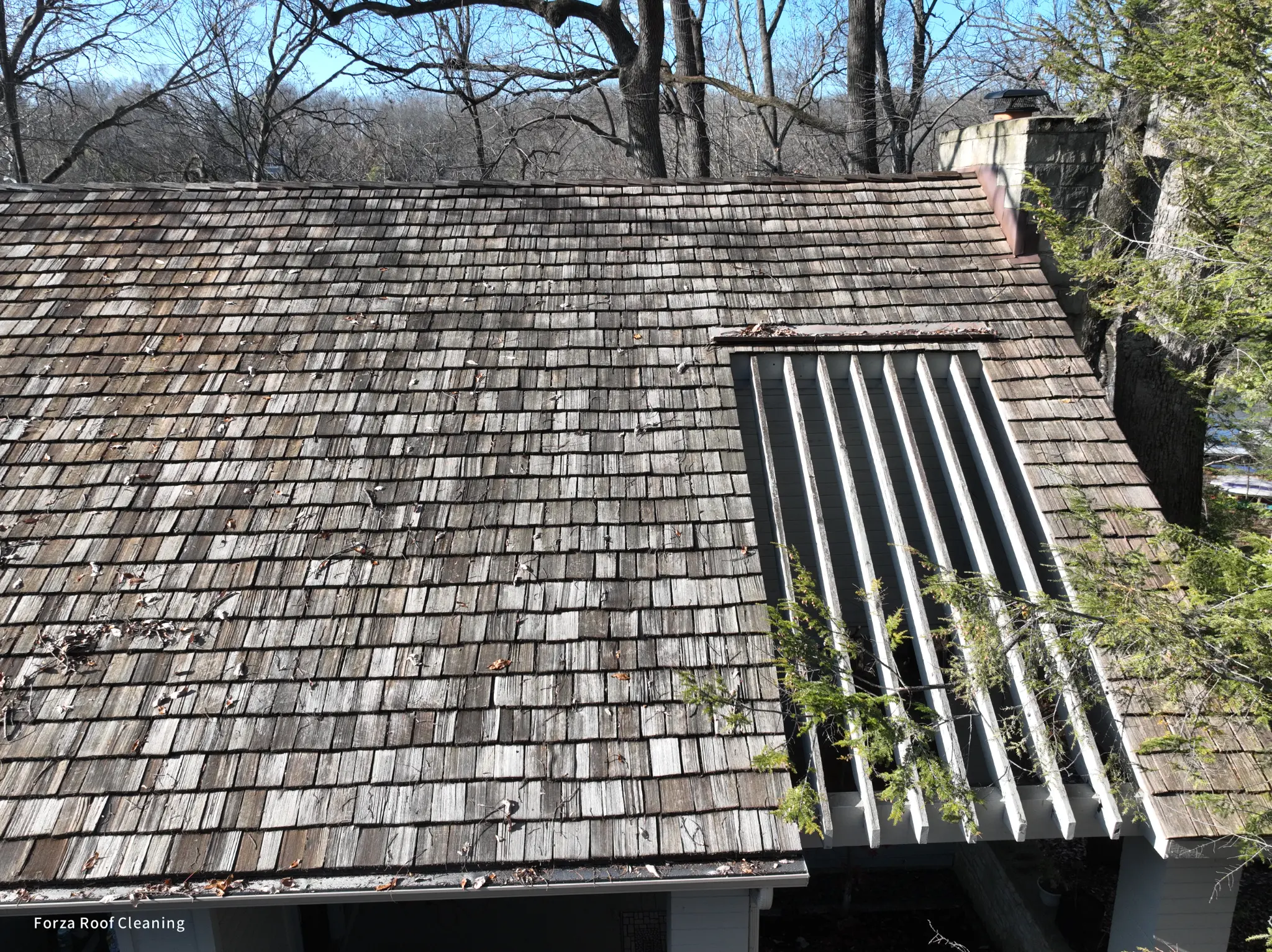 Before cedar roof cleaning - weathered gray cedar shakes near chimney and louvered gable vent with leaf debris in Muirfield Village Dublin Ohio