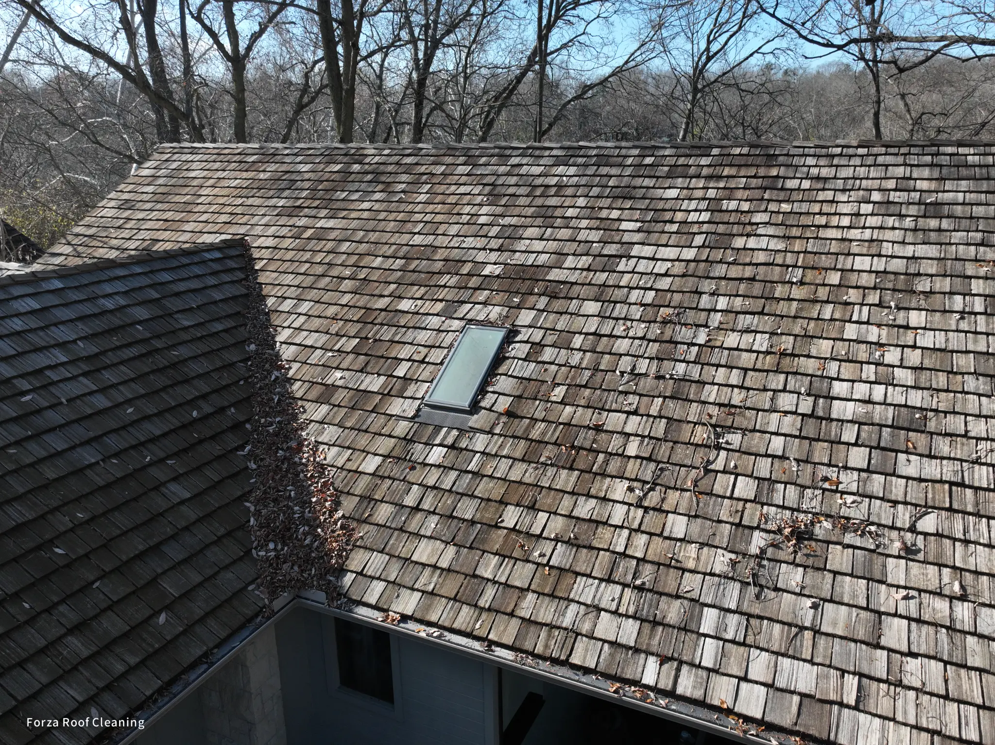 Before cedar roof cleaning - weathered cedar shakes with organic debris and neighboring cedar roof visible in Muirfield Village Dublin Ohio