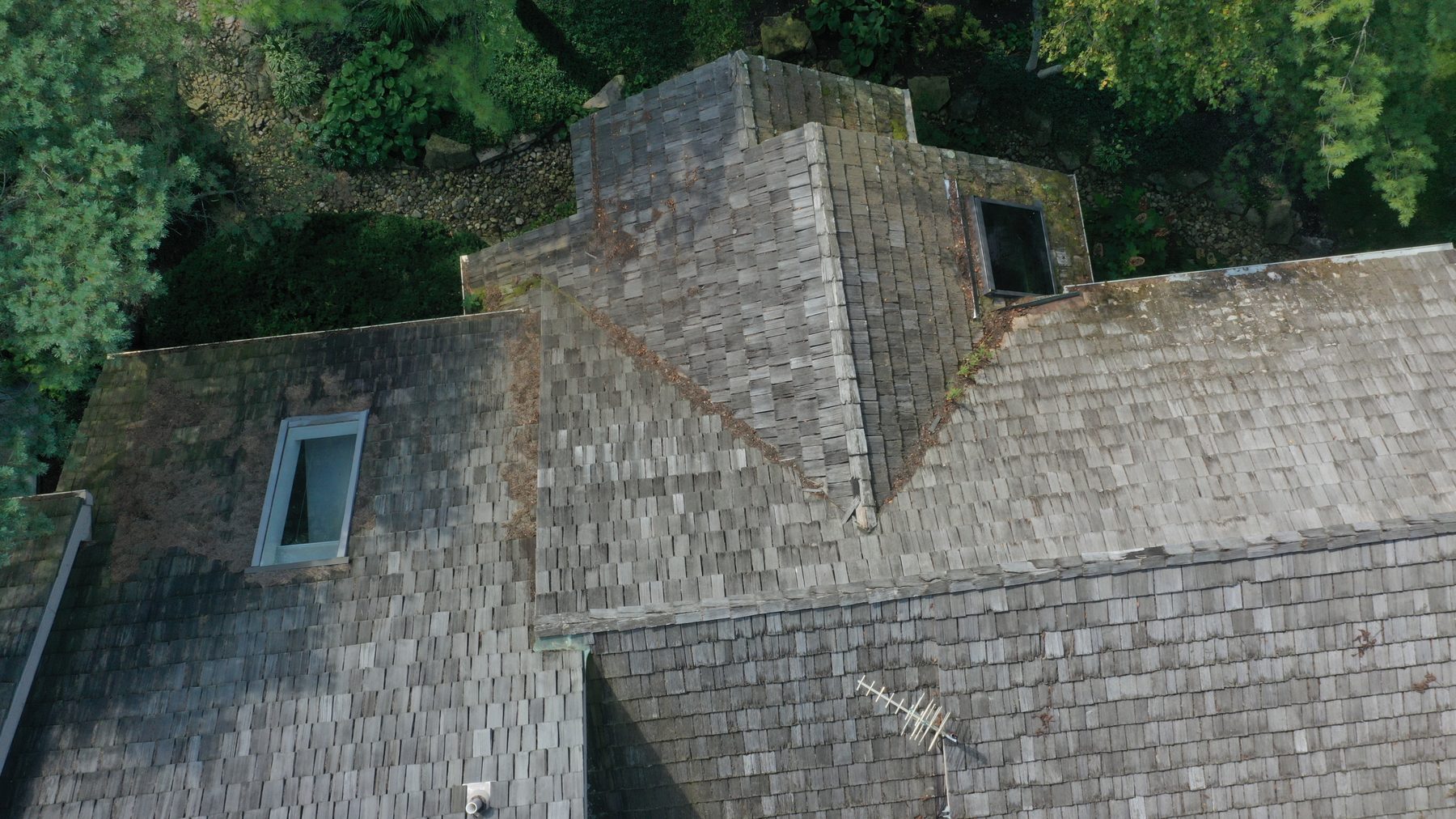 Before cedar roof cleaning - close-up of roof detail with moss algae and debris in valleys on cedar shake roof in Muirfield Village Dublin Ohio