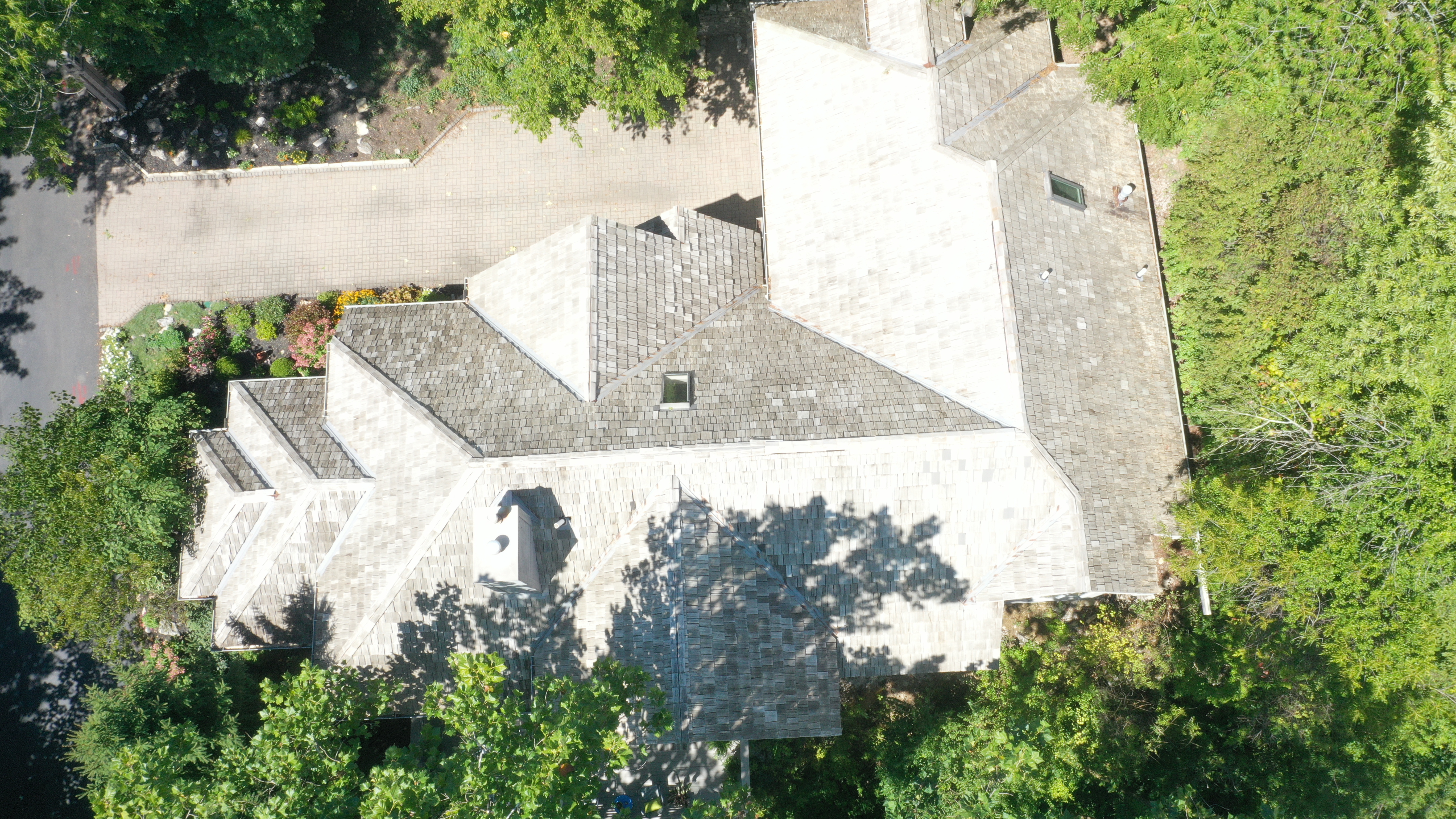 Forza Roof Cleaning professional roof treatment