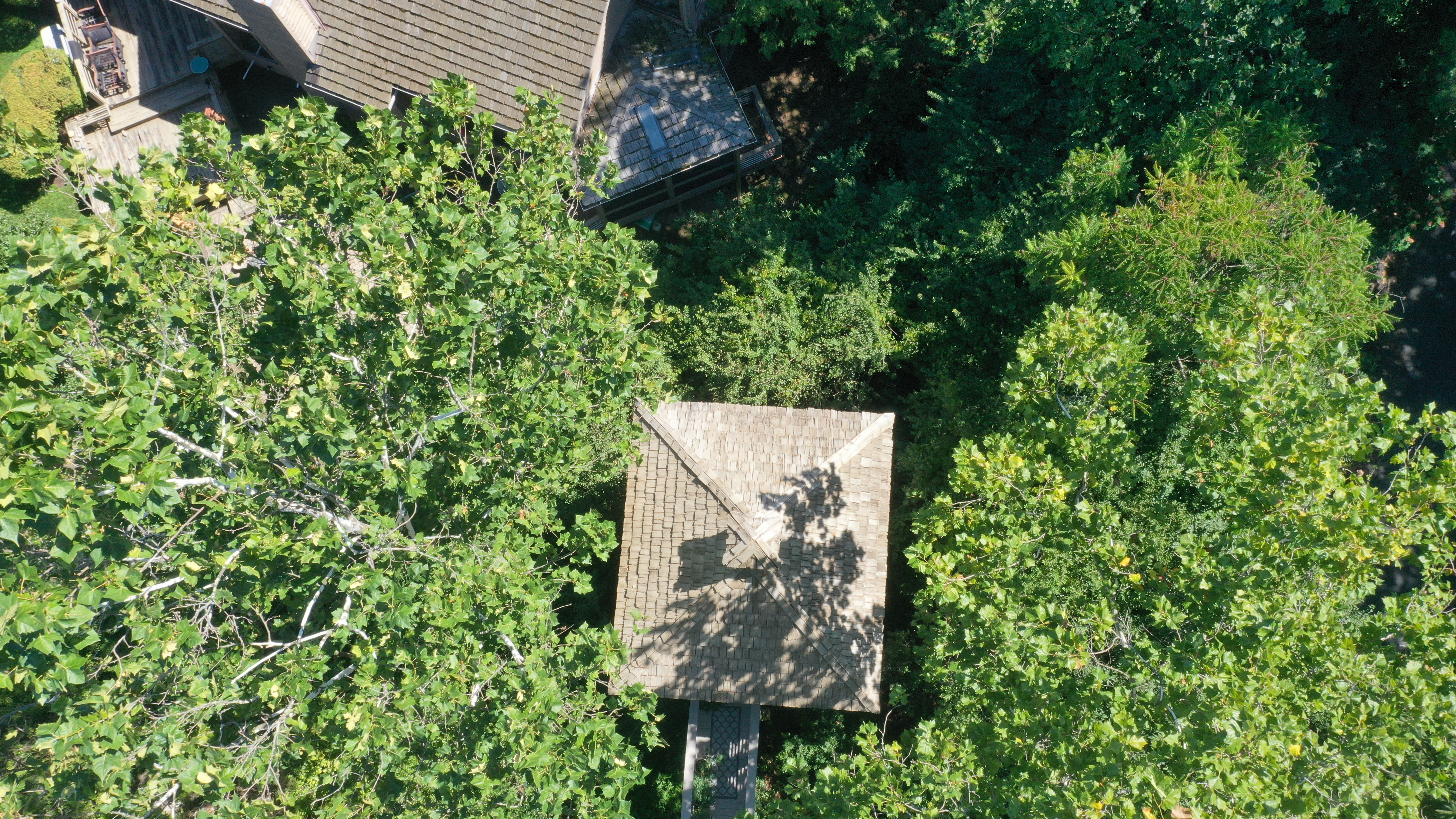 After: Overhead of elevated screened porch deep in tree canopy with golden-tan cedar shake roof restored, connected to main house by walkway, The Quarry Dublin Ohio