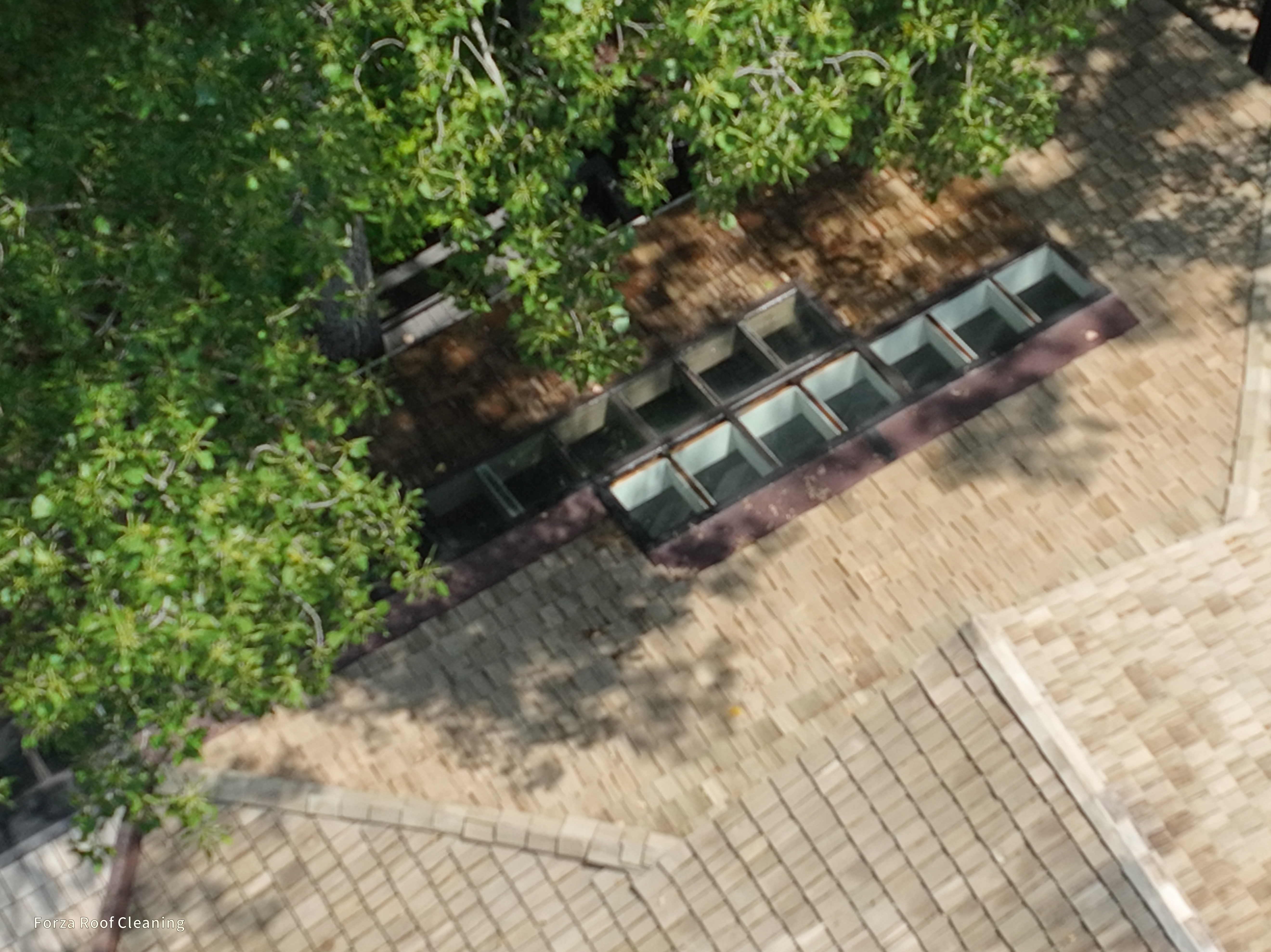 After cedar roof cleaning - close-up of skylight row showing golden-tan cedar shakes around skylight panels, clean hip and valley junction, The Quarry Dublin Ohio