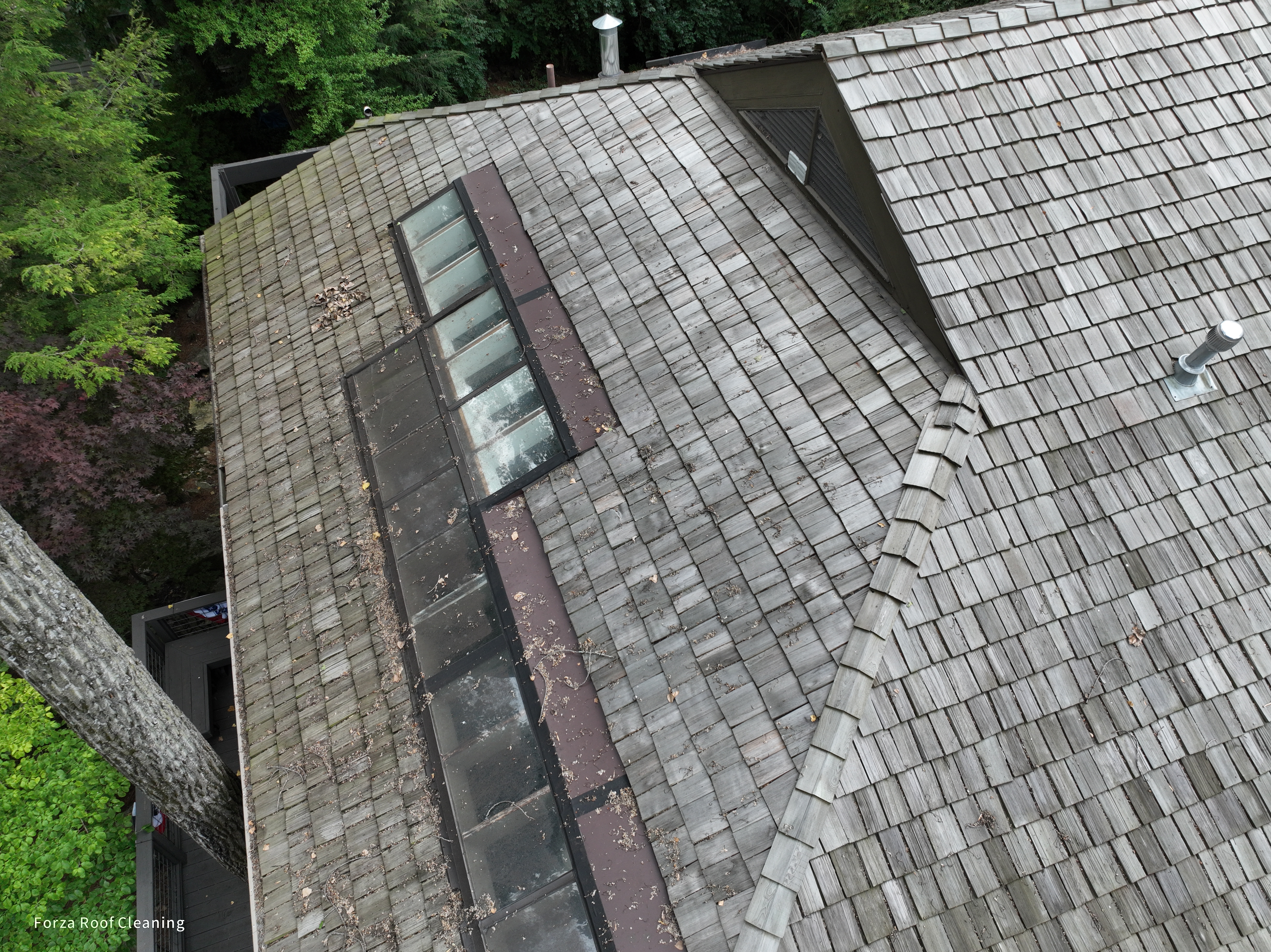 Before cedar roof cleaning - close-up of skylight row showing weathered gray-green cedar shakes with leaf debris and green moss around skylight flashing, The Quarry Dublin Ohio