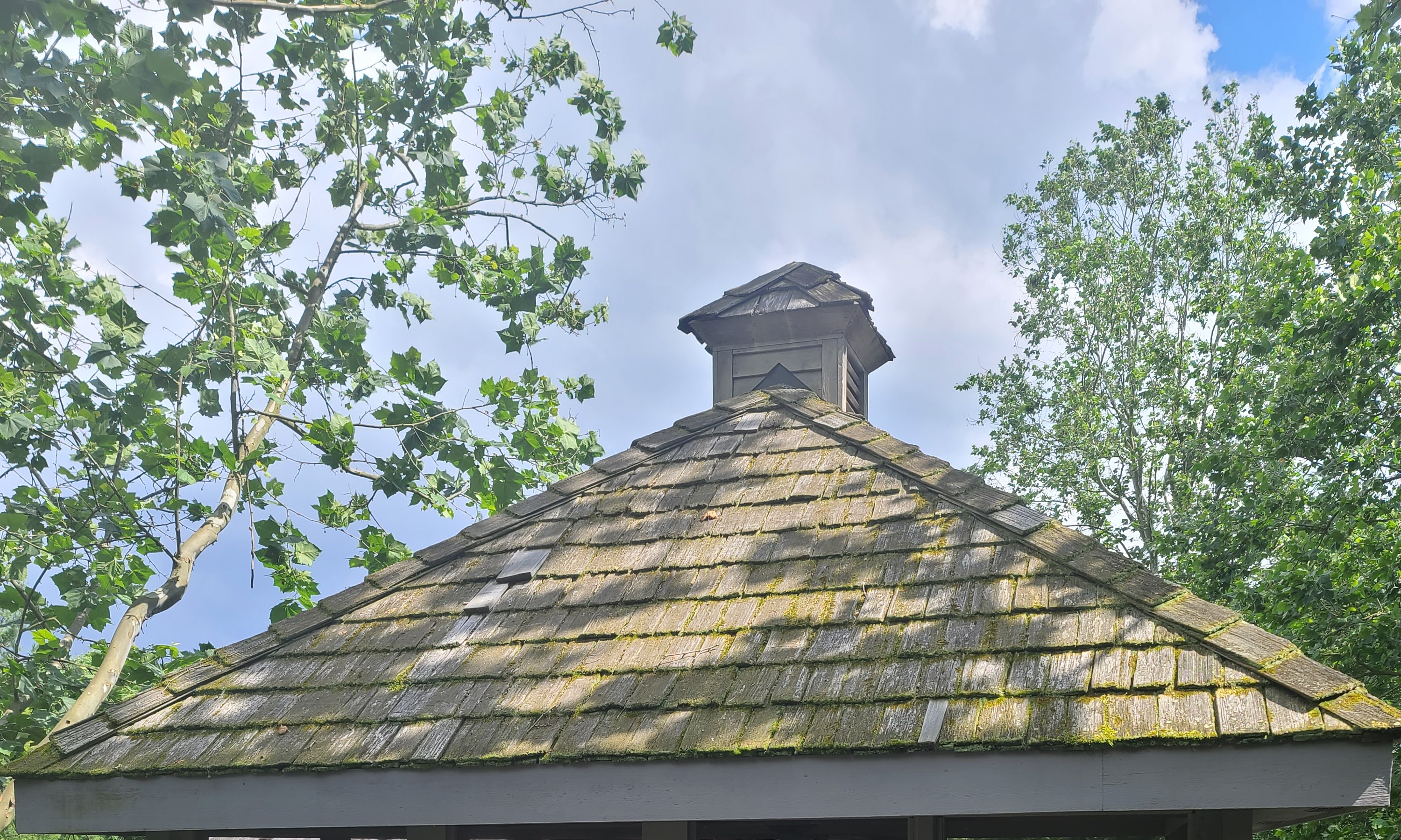 Mossy cedar shake hip roof with cupola on elevated porch, green moss along every course, surrounded by tree canopy, The Quarry Dublin Ohio