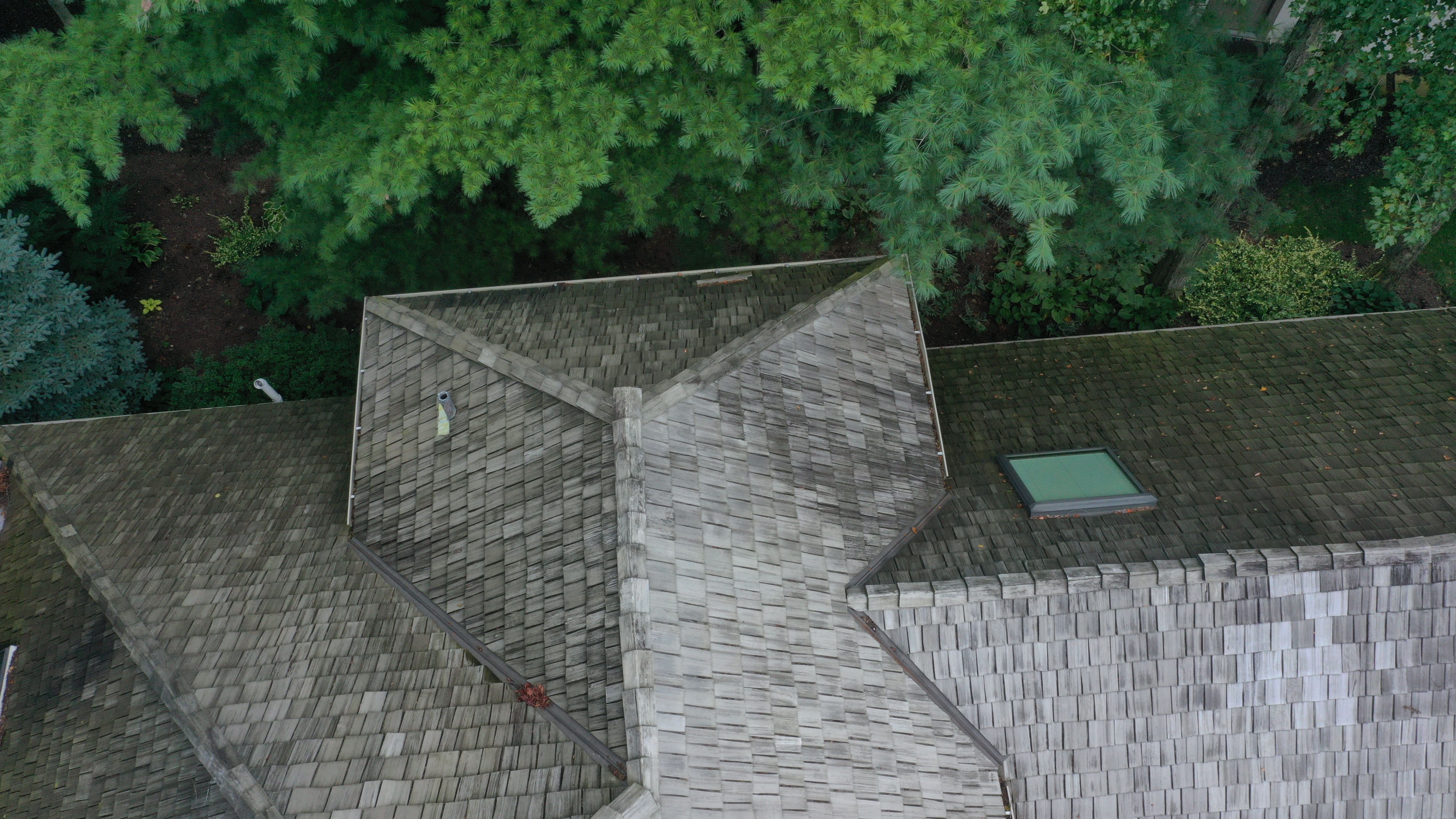 Close-up of complex rear roof geometry showing very dark weathered cedar shakes, skylight, vent pipes, and pine trees pressing in from above, The Sanctuary Columbus Ohio