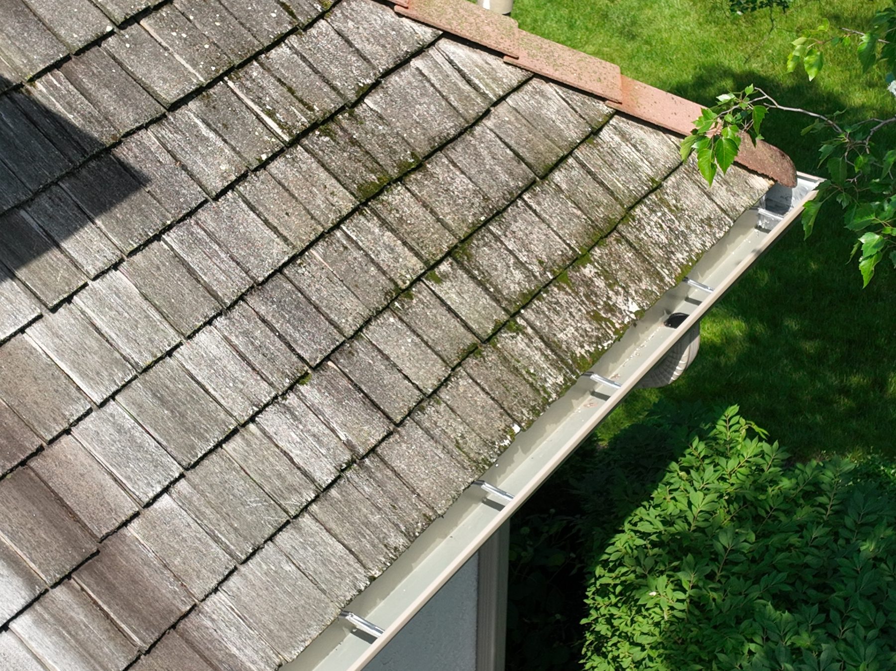 Close-up of cedar shake eave line showing green moss growth along gutters, gray weathering, and white lichen patches on individual shakes, tree branch overhanging, The Sanctuary Columbus Ohio