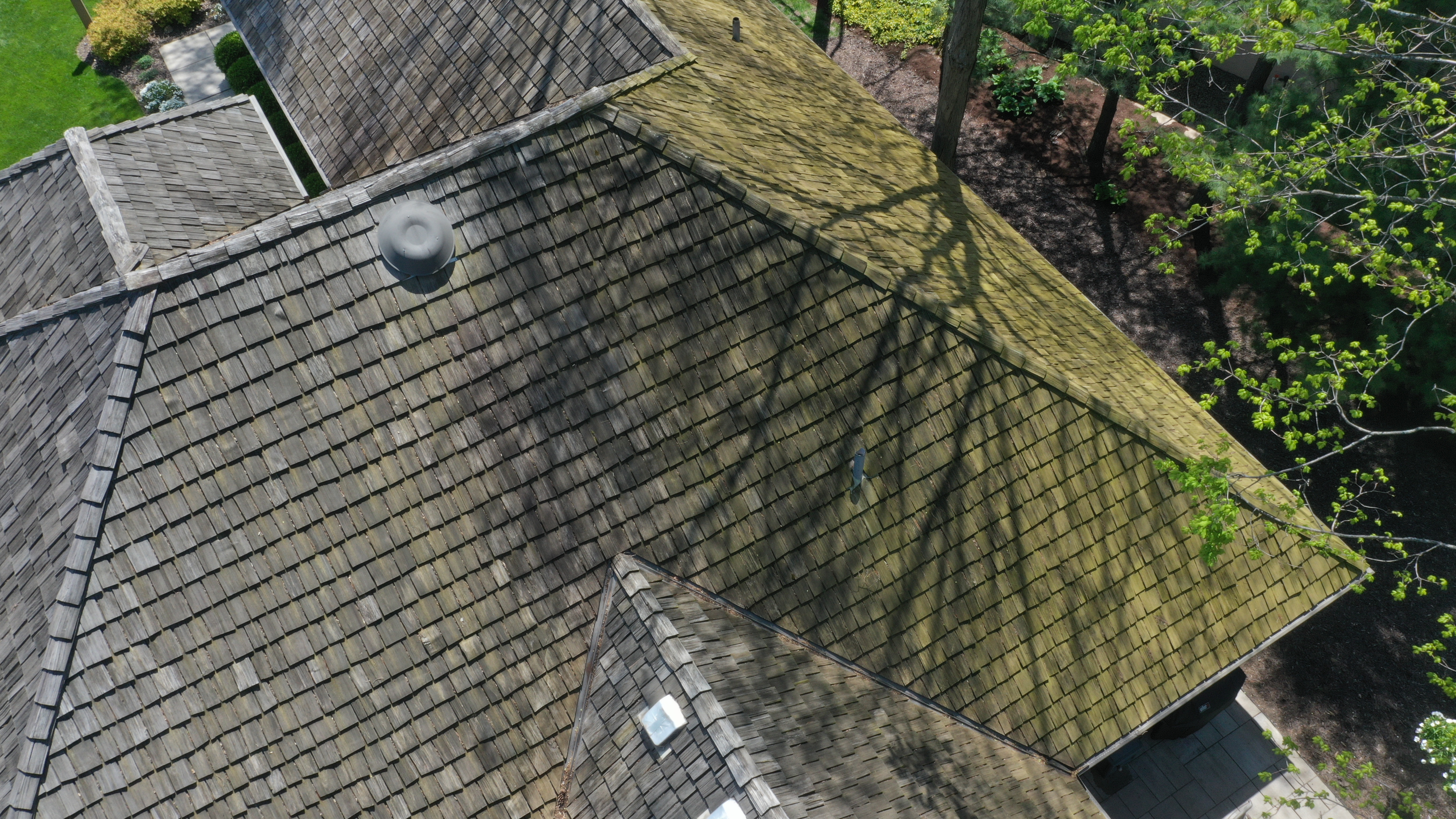 Before cedar roof cleaning - close overhead view showing heavy green algae and moss on rear-facing cedar shake slopes near tree canopy, vent pipe and dormer visible, The Sanctuary Columbus Ohio