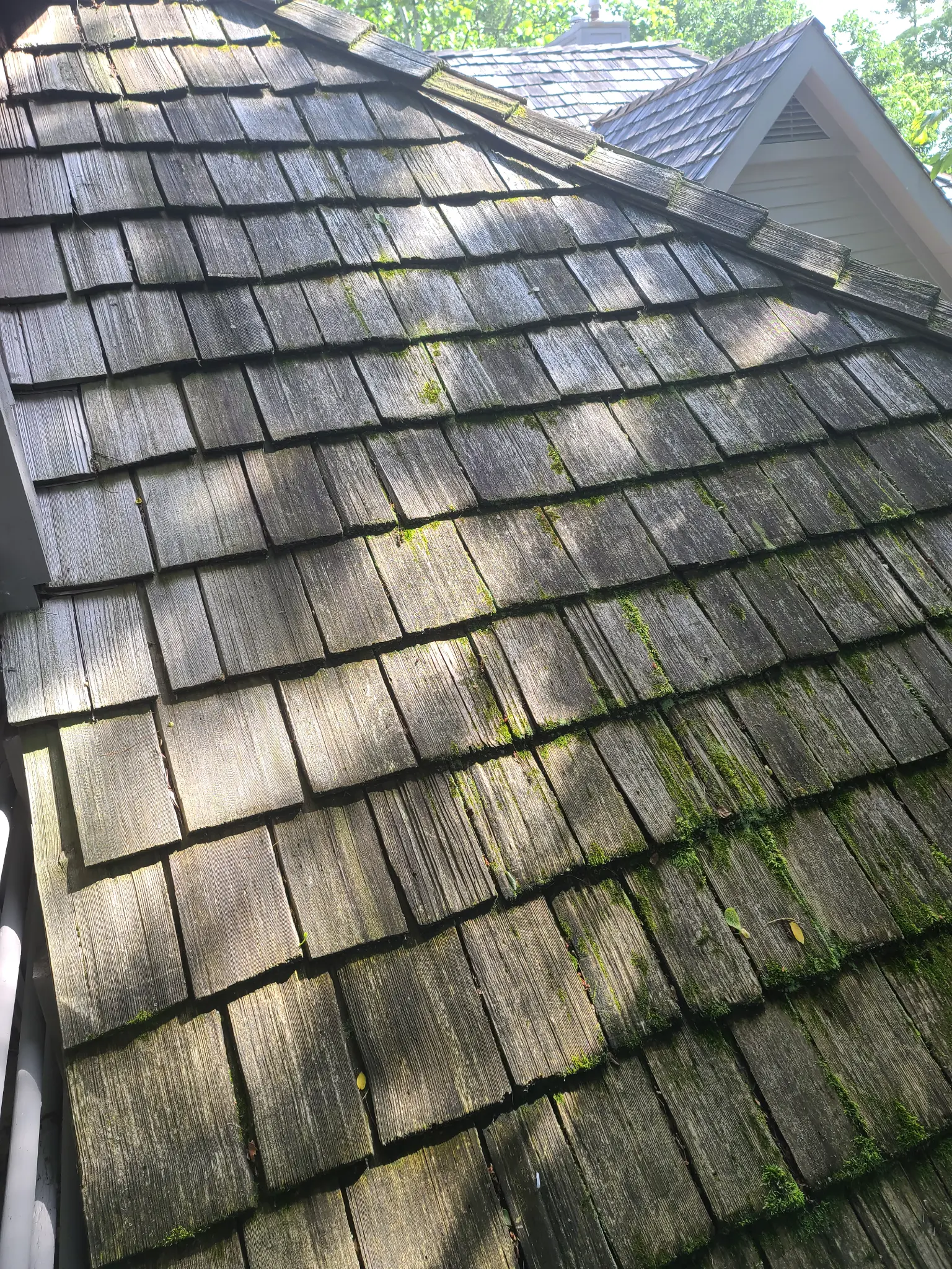 Before: Looking up the porch roof slope, dark cedar shakes with moss along every course, The Quarry Dublin Ohio