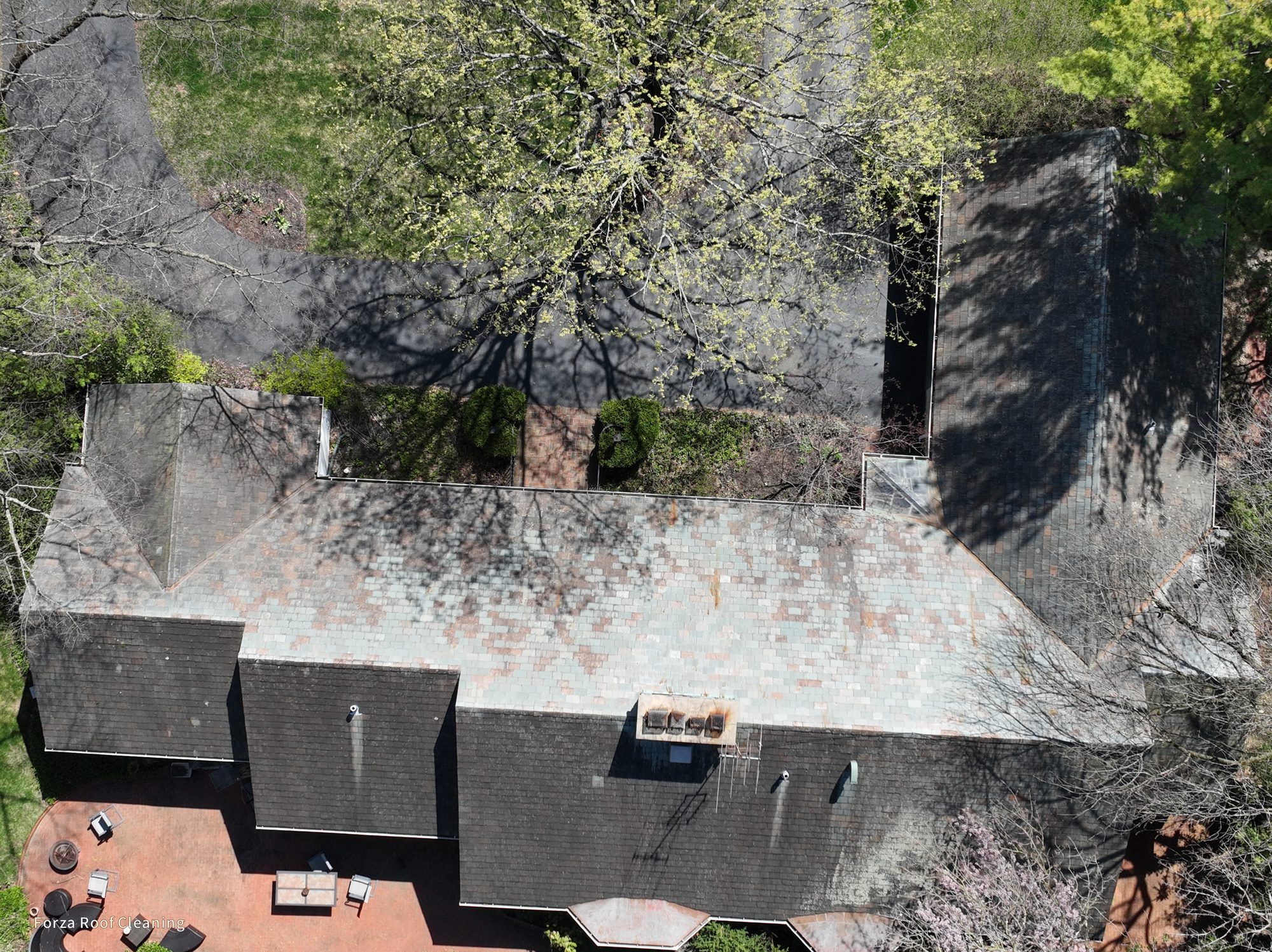 Before slate roof cleaning - heavy algae and lichen growth on Bexley slate roof
