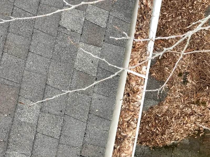 Gutter clogged with leaves and debris on shingle roof in Columbus Ohio