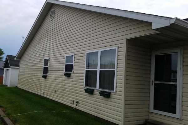 House siding covered in algae and green mold before treatmenting