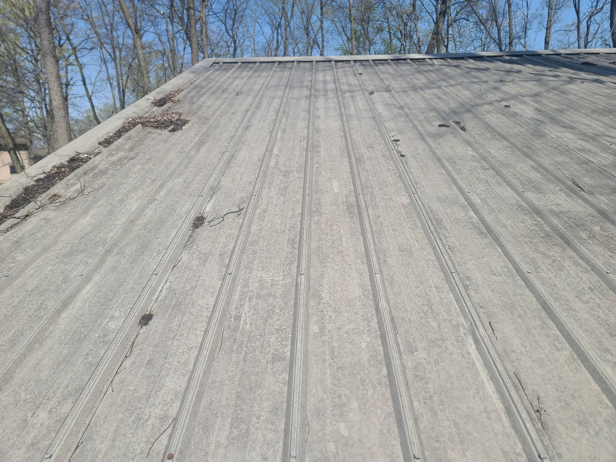 Metal roof after cleaning
