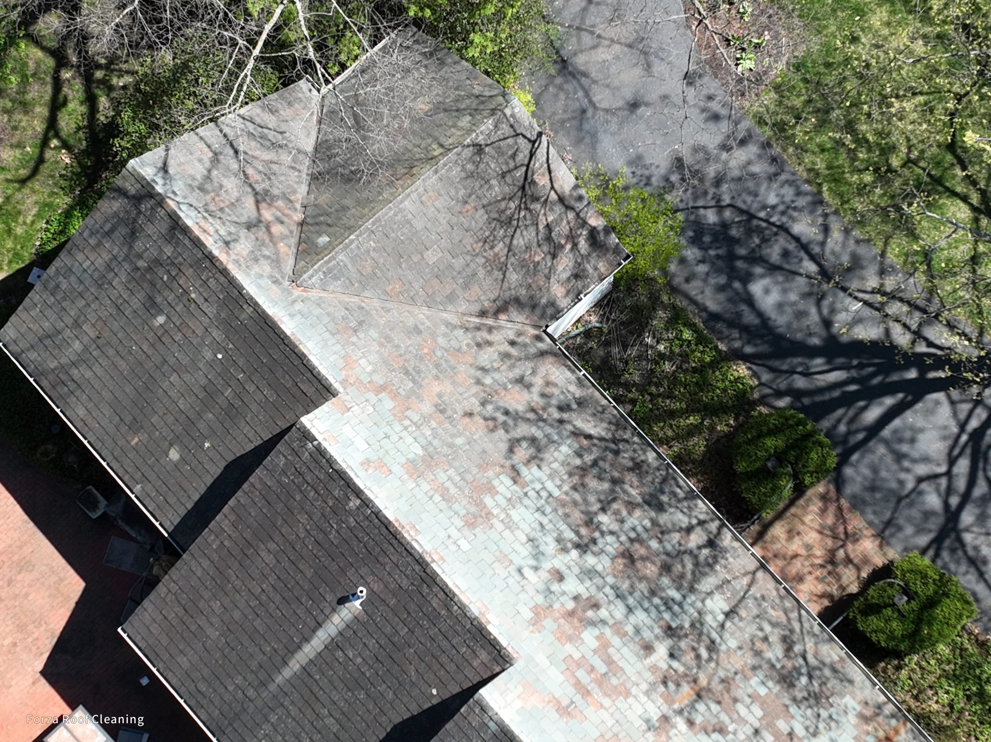 Rear section of Bexley slate roof covered in organic growth before cleaning