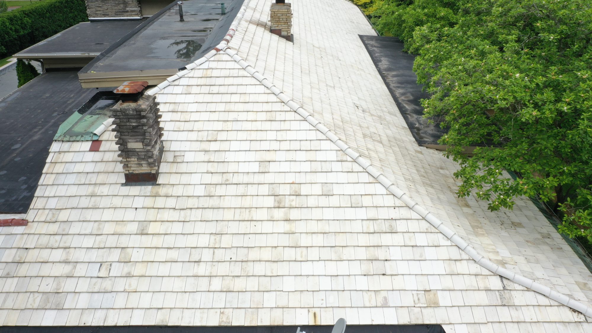 Close up of tile roof in Bexley after professional gentle cleaning by Forza Roof Cleaning