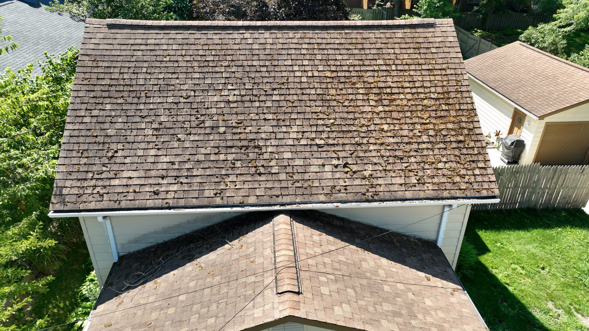 Before roof cleaning in Galena Ohio — heavy moss and lichen on asphalt shingle roof