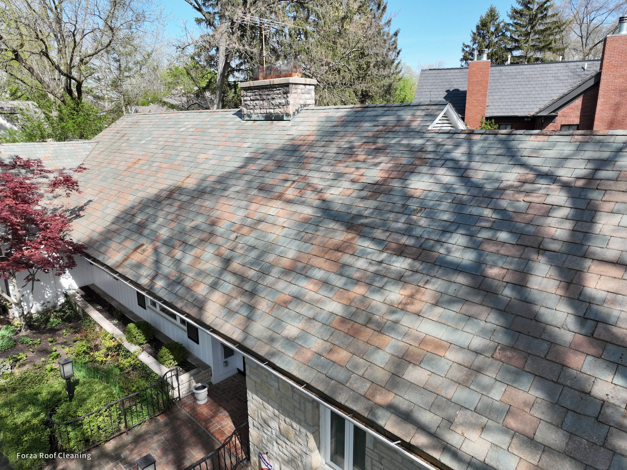 Rear section of Bexley slate roof after professional gentle cleaning by Forza