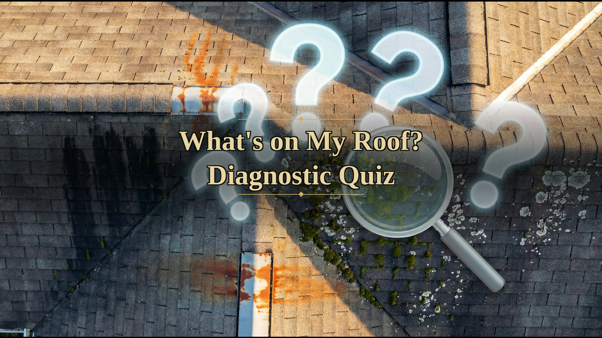 What's on my roof diagnostic quiz — close-up aerial view of roof with algae moss lichen and question marks